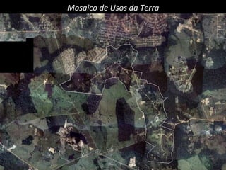 Mosaico de Usos da Terra 