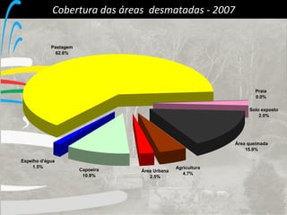 Cobertura das áreas  desmatadas - 2007 