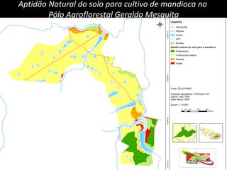 Aptidão Natural do solo para cultivo de mandioca  no  Pólo Agroflorestal Geraldo Mesquita 