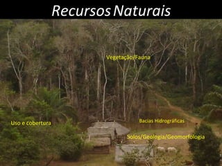 Recursos   Naturais Vegetação/Fauna Solos/Geologia/Geomorfologia Bacias Hidrográficas Uso e cobertura 