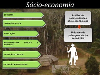 Sócio-economia Análise de potencialidades sócio-econômicas Unidades de paisagens sócio-econômica ECONOMIA CONDIÇÕES DE VIDA POPULAÇÃO INFRAESTRUTURA PÚBLICA E PRODUTIVA PRODUÇÃO FLORESTAL PRODUÇÃO AGROPECUÁRIA 