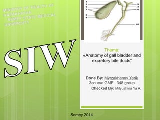 Theme: 
«Anatomy of gall bladder and 
excretory bile ducts“ 
Done By: Myrzakhanov Yerik 
3course GMF 348 group 
Checked By: Milyushina Ya A. 
Semey 2014 
 