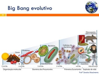 Big Bang evolutivo 
Profª Sandra Nascimento 
22  