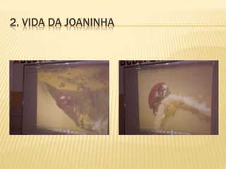 2. VIDA DA JOANINHA
 
