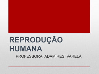 REPRODUÇÃO
HUMANA
PROFESSORA: ADAMIRES VARELA
 