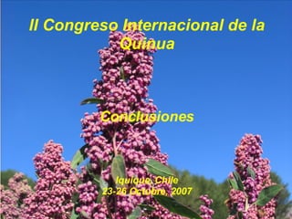 II Congreso Internacional de la Quinua Conclusiones Iquique, Chile 23-26 Octubre, 2007 