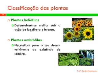 Classificação das plantas 
Plantasheliófilas 
Desenvolvem-semelhorsobaaçãodeluzdiretaeintensa. 
Plantasumbrófilas 
Necessitamparaoseudesen- volvimentodaexistênciadesombra. 
Profª: Sandra Nascimento 
10 
 