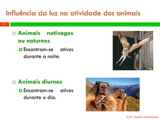 Influência da luz na atividade dos animais 
Animaisnotívagosounoturnos 
Encontram-seativosduranteanoite. 
Animaisdiurnos 
Encontram-seativosduranteodia. 
Profª: Sandra Nascimento 
11 
 