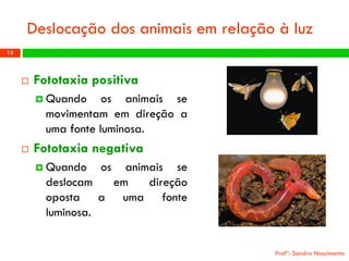 Deslocação dos animais em relação à luz 
Fototaxiapositiva 
Quandoosanimaissemovimentamemdireçãoaumafonteluminosa. 
Fototaxianegativa 
Quandoosanimaissedeslocamemdireçãoopostaaumafonteluminosa. 
Profª: Sandra Nascimento 
13 
 