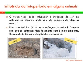 Influênciadofotoperíodoemalgunsanimais 
Ofotoperíodopodeinfluenciaramudançadecordapelagemdealgunsmamíferosedapenugemdealgumasaves. 
Estacaracterísticafacilitaacamuflagemdoanimal,fazendocomqueseconfundamaisfacilmentecomomeioambiente, ficandodestaformaprotegidodospredadores. 
Profª: Sandra Nascimento 
14 
 