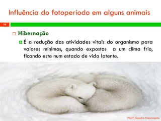 Hibernação 
Éareduçãodasatividadesvitaisdoorganismoparavaloresmínimos,quandoexpostosaumclimafrio, ficandoestenumestadodevidalatente. 
Profª: Sandra Nascimento 
16 
Influênciadofotoperíodoemalgunsanimais  