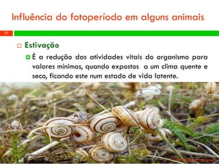 Estivação 
Éareduçãodasatividadesvitaisdoorganismoparavaloresmínimos,quandoexpostosaumclimaquenteeseco,ficandoestenumestadodevidalatente. 
Profª: Sandra Nascimento 
17 
Influênciadofotoperíodoemalgunsanimais  