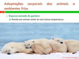 Profª: Sandra Nascimento 
25 
Adaptaçõescorporaisdosanimaisaambientesfrios 
Espessacamadadegordura 
Permiteaosanimaisresistiràsmaisbaixastemperaturas.  