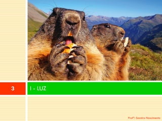 I -LUZ 3 
Profª: Sandra Nascimento 
 