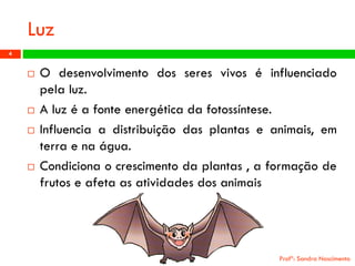 Luz 
Odesenvolvimentodosseresvivoséinfluenciadopelaluz. 
Aluzéafonteenergéticadafotossíntese. 
Influenciaadistribuiçãodasplantaseanimais,emterraenaágua. 
Condicionaocrescimentodaplantas,aformaçãodefrutoseafetaasatividadesdosanimais 
Profª: Sandra Nascimento 
4 
 