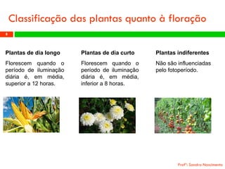 Classificação das plantas quanto à floração 
Profª: Sandra Nascimento 
8 
Plantasdedialongo 
Florescemquandooperíododeiluminaçãodiáriaé,emmédia, superiora12horas. 
Plantasdediacurto 
Florescemquandooperíododeiluminaçãodiáriaé,emmédia, inferiora8horas. 
Plantas indiferentes 
Não são influenciadas pelo fotoperíodo.  