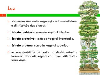Luz 
Naszonascommuitavegetaçãoaluzcondicionaadistribuiçãodasplantas. 
•Estratoherbáceo:camadavegetalinferior. 
•Estratoarbustivo:camadavegetalintermédia. 
•Estratoarbóreo:camadavegetalsuperior. 
Ascaracterísticasdecadaumdestesestratosfornecemhabitatsespecíficosparadiferentesseresvivos. 
Profª: Sandra Nascimento 
9 
 