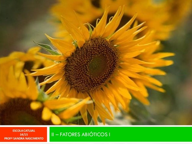 II–FATORESABIÓTICOSI 
ESCOLA CATUJAL 
14/15 
PROFª SANDRA NASCIMENTO  