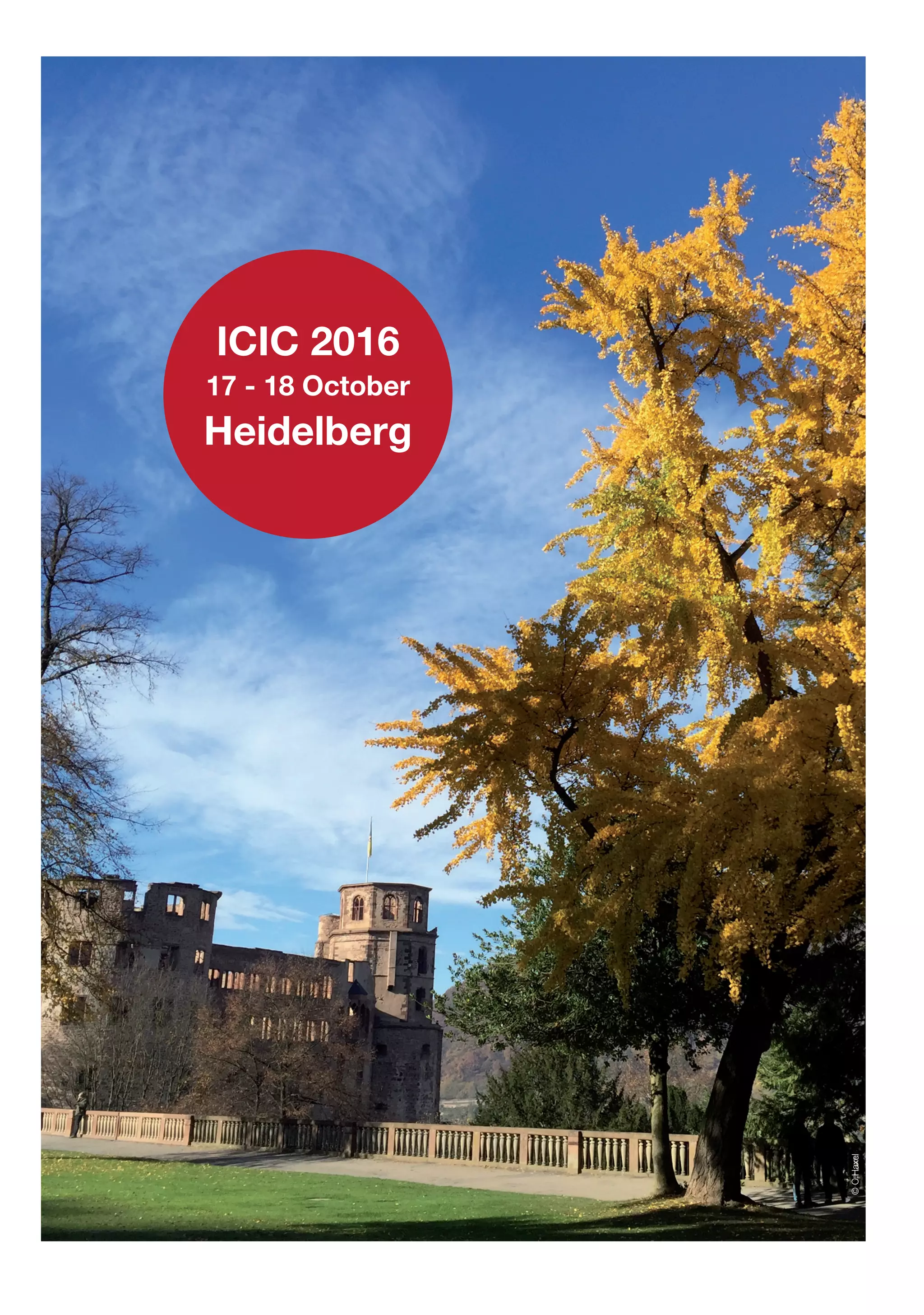ICIC 2016
17 - 18 October
Heidelberg
©C.Haxel
 