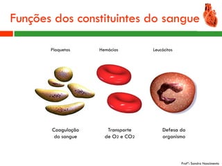 Funções dos constituintes do sangue

       Plaquetas    Hemácias        Leucócitos




       Coagulação      Transporte       Defesa do
        do sangue     de O2 e CO2       organismo



                                                 Profª: Sandra Nascimento
 