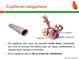 Capilares sanguíneos




   Os capilares são vasos de paredes muito finas, constituídos
    por uma só camada de células que, em regra, estabelecem a
    ligação entre vénulas e arteríolas.
   É nos capilares que se dá as trocas de substâncias.
                                                      Profª: Sandra Nascimento
 