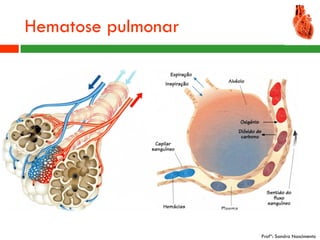 Hematose pulmonar




                    Profª: Sandra Nascimento
 