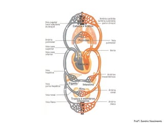 Profª: Sandra Nascimento
 