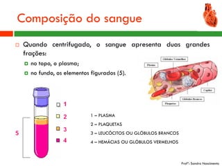 Composição do sangue
   Quando centrifugado, o sangue apresenta duas grandes
    frações:
       no topo, o plasma;
       no fundo, os elementos figurados (5).




                               1 – PLASMA
                               2 – PLAQUETAS
                               3 – LEUCÓCITOS OU GLÓBULOS BRANCOS
                               4 – HEMÁCIAS OU GLÓBULOS VERMELHOS



                                                                    Profª: Sandra Nascimento
 