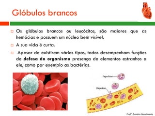 Glóbulos brancos
   Os glóbulos brancos ou leucócitos, são maiores que as
    hemácias e possuem um núcleo bem visível.
   A sua vida é curta.
    Apesar de existirem vários tipos, todos desempenham funções
    de defesa do organismo presença de elementos estranhos a
    ele, como por exemplo as bactérias.




                                                      Profª: Sandra Nascimento
 