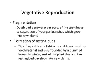 Vegetative Reproduction
• Fragmentation
– Death and decay of older parts of the stem leads
to separation of younger branches which grow
into new plants
• Formation of resting buds
– Tips of apical buds of rhizome and branches store
food material and is surrounded by a bunch of
leaves. In winter, rest of the plant dies and the
resting bud develops into new plants.
• Fragmentation
– Death and decay of older parts of the stem leads
to separation of younger branches which grow
into new plants
• Formation of resting buds
– Tips of apical buds of rhizome and branches store
food material and is surrounded by a bunch of
leaves. In winter, rest of the plant dies and the
resting bud develops into new plants.
 