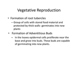 Vegetative Reproduction
• Formation of root tubercles
– Group of cells with stored food material and
protected by thick walls- germinates into new
plants
• Formation of Adventitious Buds
– In the leaves epidermal cells proliferate near the
base and grow into buds. These buds are capable
of germinating into new plants.
• Formation of root tubercles
– Group of cells with stored food material and
protected by thick walls- germinates into new
plants
• Formation of Adventitious Buds
– In the leaves epidermal cells proliferate near the
base and grow into buds. These buds are capable
of germinating into new plants.
 