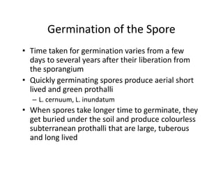 Germination of the Spore
• Time taken for germination varies from a few
days to several years after their liberation from
the sporangium
• Quickly germinating spores produce aerial short
lived and green prothalli
– L. cernuum, L. inundatum
• When spores take longer time to germinate, they
get buried under the soil and produce colourless
subterranean prothalli that are large, tuberous
and long lived
• Time taken for germination varies from a few
days to several years after their liberation from
the sporangium
• Quickly germinating spores produce aerial short
lived and green prothalli
– L. cernuum, L. inundatum
• When spores take longer time to germinate, they
get buried under the soil and produce colourless
subterranean prothalli that are large, tuberous
and long lived
 