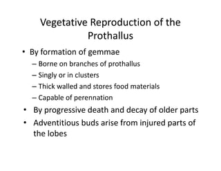 Vegetative Reproduction of the
Prothallus
• By formation of gemmae
– Borne on branches of prothallus
– Singly or in clusters
– Thick walled and stores food materials
– Capable of perennation
• By progressive death and decay of older parts
• Adventitious buds arise from injured parts of
the lobes
• By formation of gemmae
– Borne on branches of prothallus
– Singly or in clusters
– Thick walled and stores food materials
– Capable of perennation
• By progressive death and decay of older parts
• Adventitious buds arise from injured parts of
the lobes
 