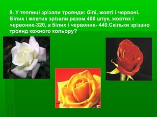 9. У теплиці зрізали троянди: білі, жовті і червоні.
Білих і жовтих зрізали разом 400 штук, жовтих і
червоних-320, а білих і червоних- 440.Скільки зрізано
троянд кожного кольору?
 
