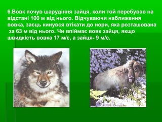6.Вовк почув шарудіння зайця, коли той перебував на
відстані 100 м від нього. Відчуваючи наближення
вовка, заєць кинувся втікати до нори, яка розташована
за 63 м від нього. Чи впіймає вовк зайця, якщо
швидкість вовка 17 м/с, а зайця- 9 м/с.
 