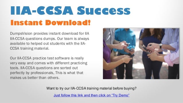 IIA-CIA-Part2 Zertifikatsdemo