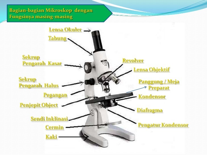 I ia. mikroskop (tugas 1 presentation)_basrib.biologi