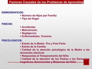 Factores Causales de los Problemas de Aprendizaje
DEMOGRAFICOS:
 Número de Hijos por Familia
 Tipo de Hogar
FISICOS:
 Accidentes
 Malnutrición
 Negligencia
 Enfermedades, Tumores
PSICOLOGICOS:
 Estrés de la Madre Pre y Post Parto
 Estrés de la Familia
 Calidad de la atención psicológica de la Madre a las
demandas afectivas
 Respuestas al Temperamento del Niño
 Calidad de la atención de los Padres a las Demandas
Cognitivas, Emocionales y Motorices del Niño
 
