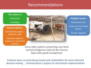 Building an evidence base for informed decisions on choice of dairy cattle production systems: Senegal dairy genetics