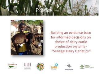Building an evidence base for informed decisions on choice of dairy cattle production systems: Senegal dairy genetics