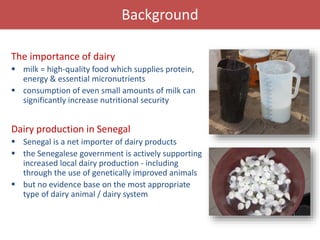 Building an evidence base for informed decisions on choice of dairy cattle production systems: Senegal dairy genetics
