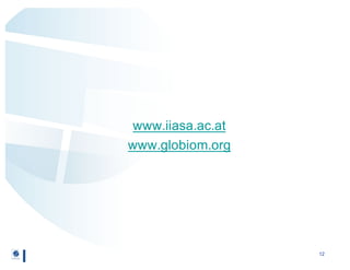 Regional participation to meet climate targets: Managing trade-offs with food security