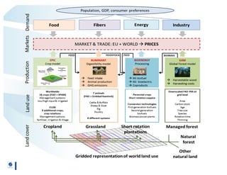 Regional participation to meet climate targets: Managing trade-offs with food security