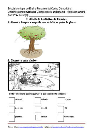 Acesse blog: www.carajassim.blogspot.com.br e página: www.facebook.com/professorandremoraes
Escola Municipal de Ensino Fundamental Centro Comunitário
Diretora: Ivonete Carvalho Coordenadora: Dilermania Professor: André
Ano: 2º A Aluno(a): __________________________________________
II Atividade Avaliativa de Ciências
1. Observe a imagem e responda com carinho as partes da planta
2. Observe a cena abaixo
 