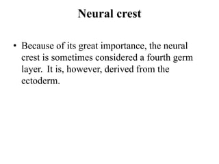 Neural crest
• Because of its great importance, the neural
crest is sometimes considered a fourth germ
layer. It is, however, derived from the
ectoderm.
 