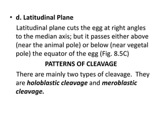 • d. Latitudinal Plane
Latitudinal plane cuts the egg at right angles
to the median axis; but it passes either above
(near the animal pole) or below (near vegetal
pole) the equator of the egg (Fig. 8.5C)
PATTERNS OF CLEAVAGE
There are mainly two types of cleavage. They
are holoblastic cleavage and meroblastic
cleavage.
 