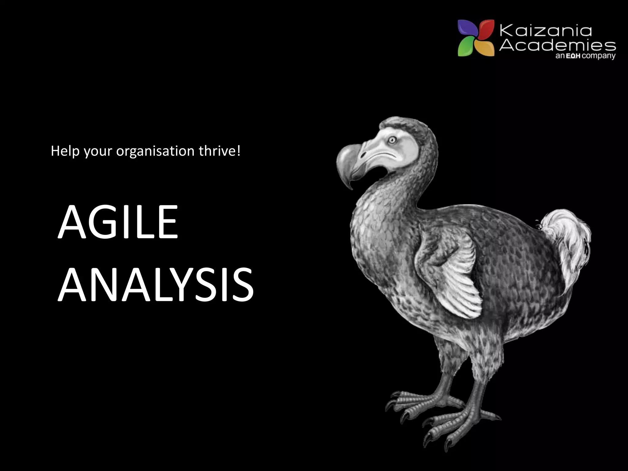 Help your organisation thrive!
AGILE
ANALYSIS
 