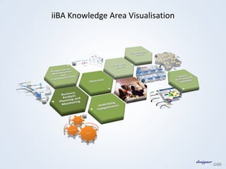 iiBA Knowledge Area Visualisation
 