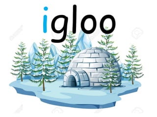 igloo
 