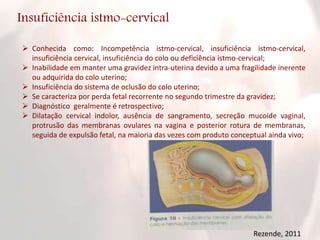 Insuficiência istmo-cervical
 Conhecida como: Incompetência istmo-cervical, insuficiência istmo-cervical,
insuficiência cervical, insuficiência do colo ou deficiência istmo-cervical;
 Inabilidade em manter uma gravidez intra-uterina devido a uma fragilidade inerente
ou adquirida do colo uterino;
 Insuficiência do sistema de oclusão do colo uterino;
 Se caracteriza por perda fetal recorrente no segundo trimestre da gravidez;
 Diagnóstico geralmente é retrospectivo;
 Dilatação cervical indolor, ausência de sangramento, secreção mucoide vaginal,
protrusão das membranas ovulares na vagina e posterior rotura de membranas,
seguida de expulsão fetal, na maioria das vezes com produto conceptual ainda vivo;
Rezende, 2011
 